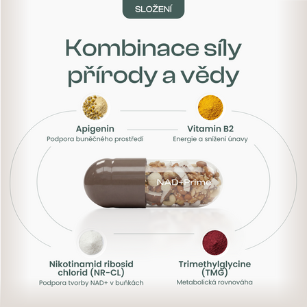 NAD+ Prime