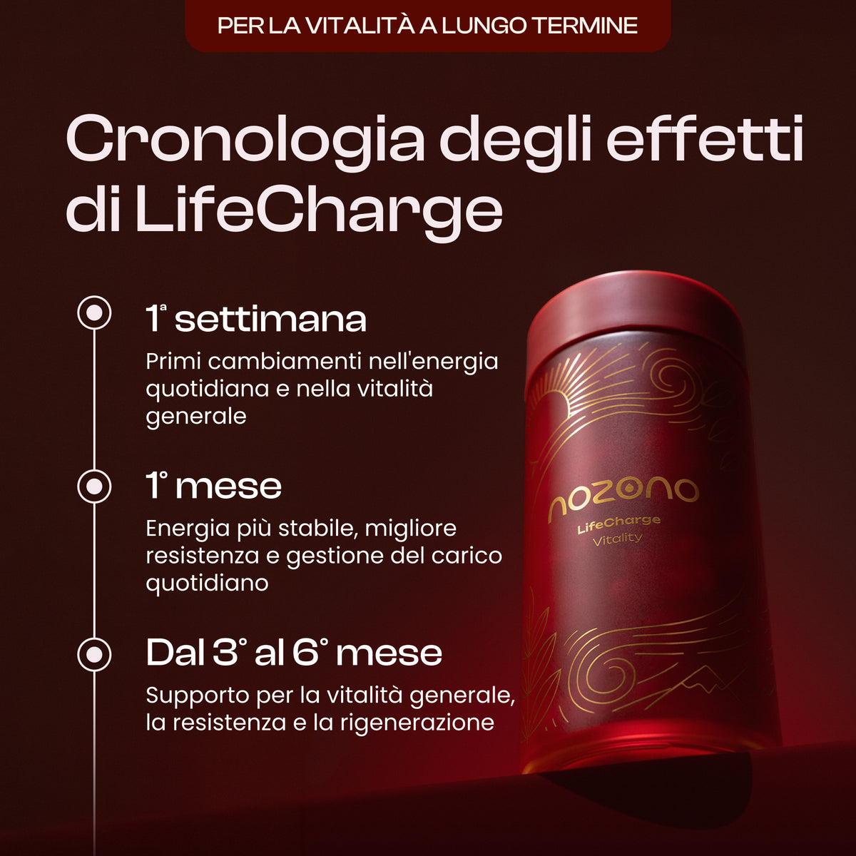 LifeCharge