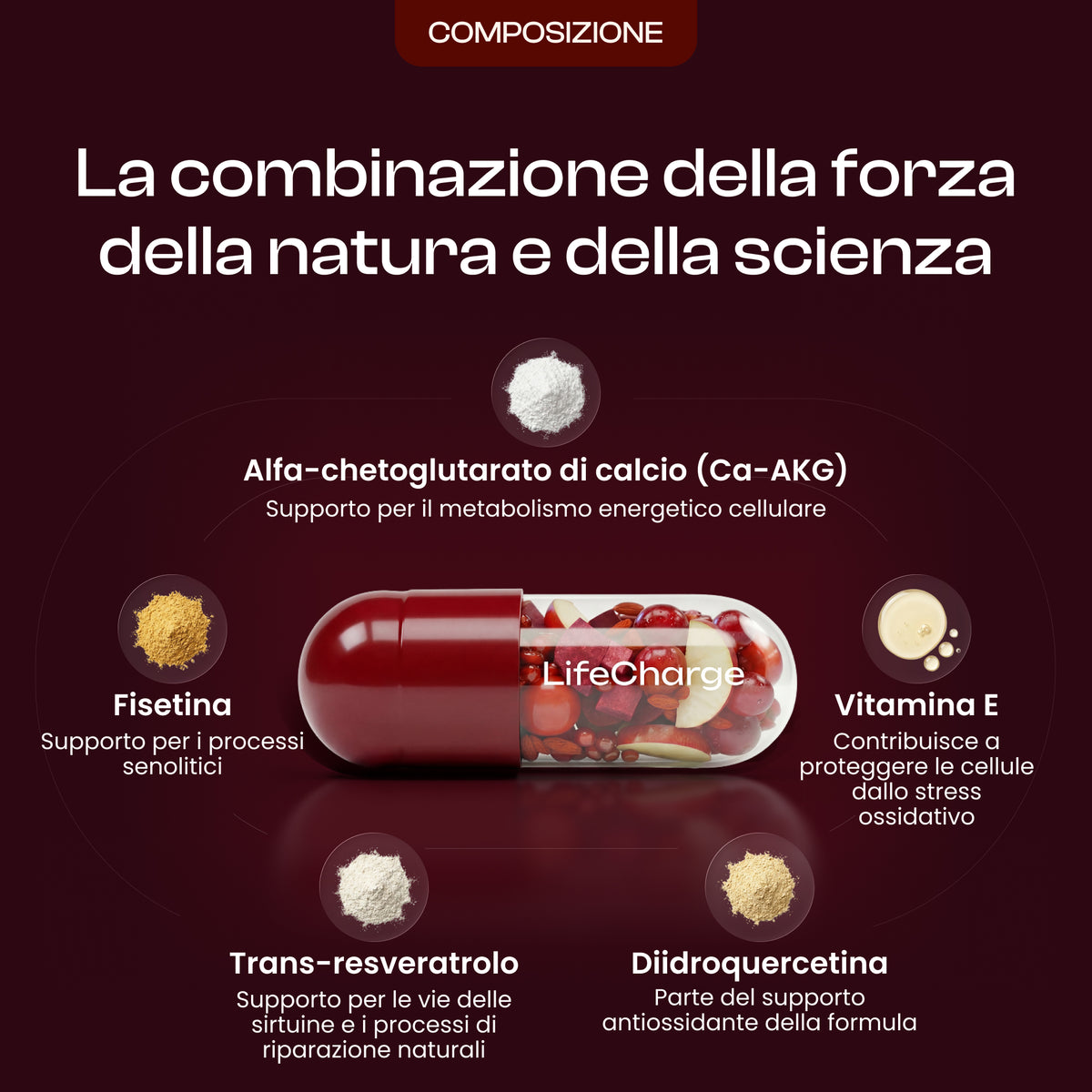 LifeCharge