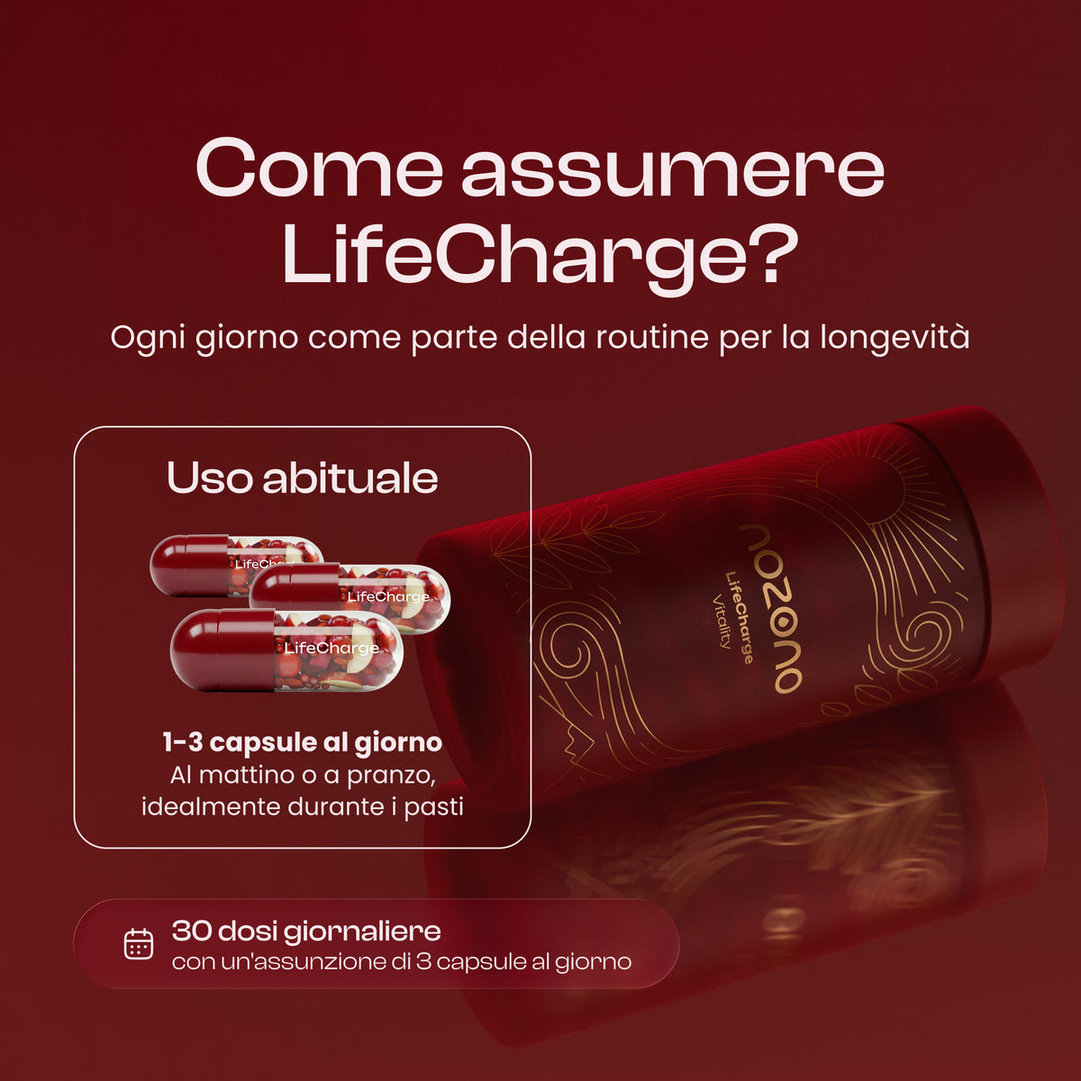 LifeCharge