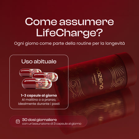 LifeCharge