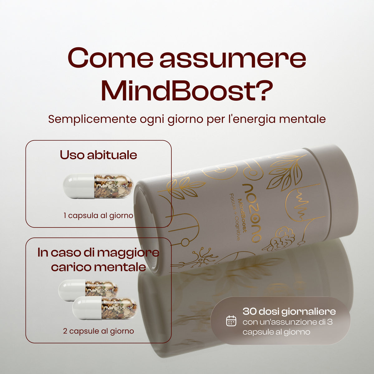MindBoost