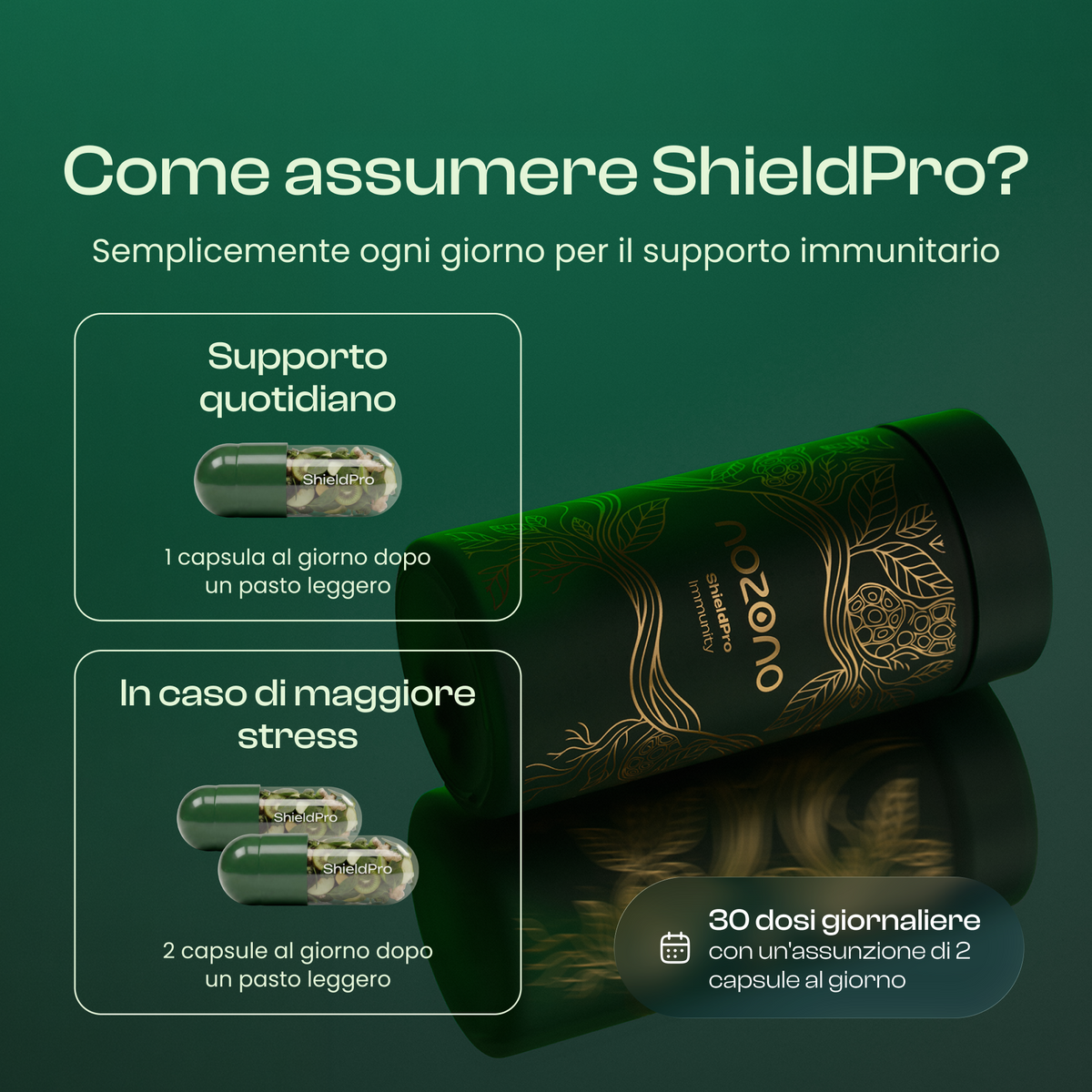 ShieldPro