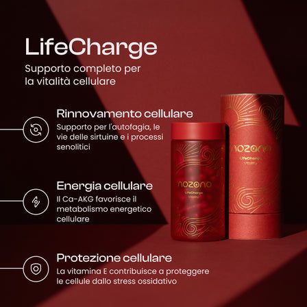 LifeCharge